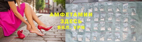 прущие грибы Арсеньев