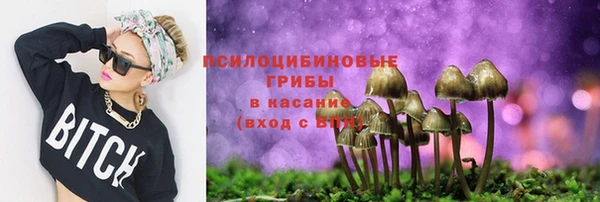 гидра Аркадак