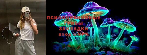 гидра Аркадак