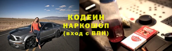 прущие грибы Арсеньев