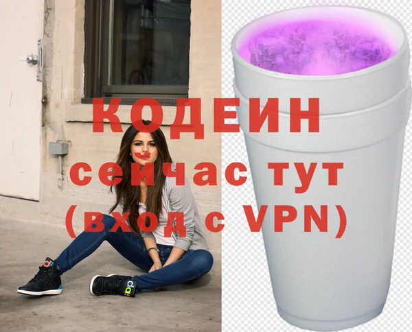 индика Белокуриха