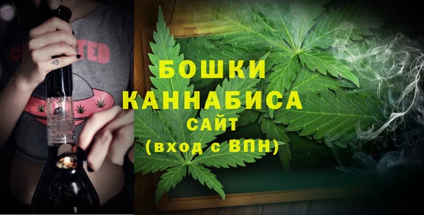 индика Белокуриха