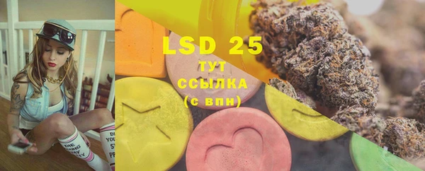 индика Белокуриха