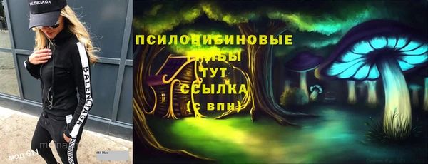 дживик Алексеевка