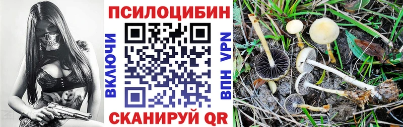 Галлюциногенные грибы прущие грибы  сайты даркнета официальный сайт  omg сайт  Новомосковск  купить наркоту 