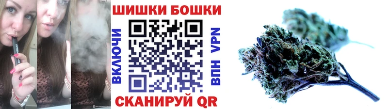 Бошки Шишки ГИДРОПОН  где можно купить   Новомосковск 